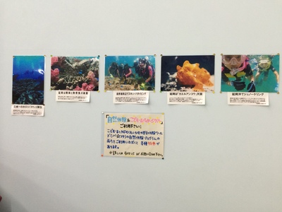 写真 2014-07-29 20 21 21.jpg