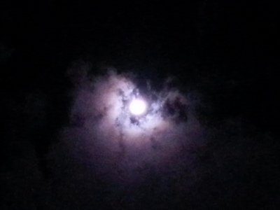 20141105_233854.jpg