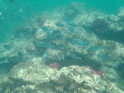 P8100068.JPG