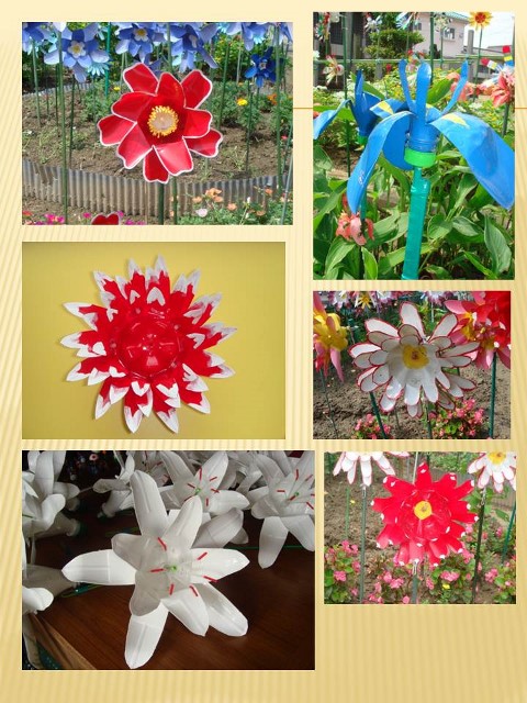 petbottleflower (2) (480x640).jpg