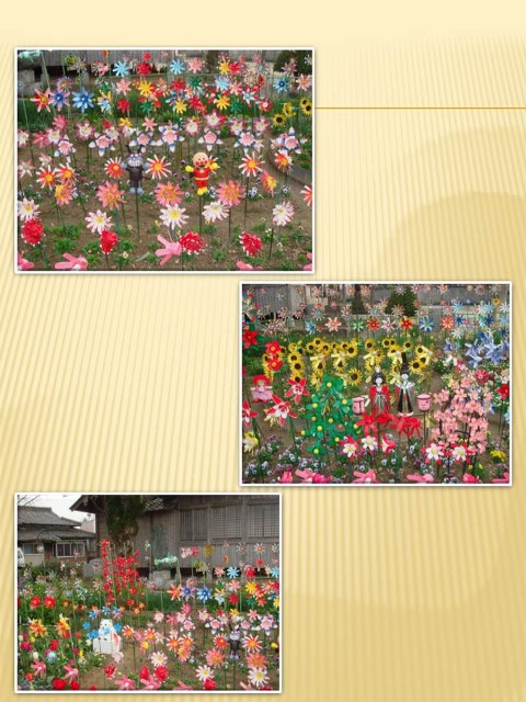 petbottleflower2 (480x640).jpg