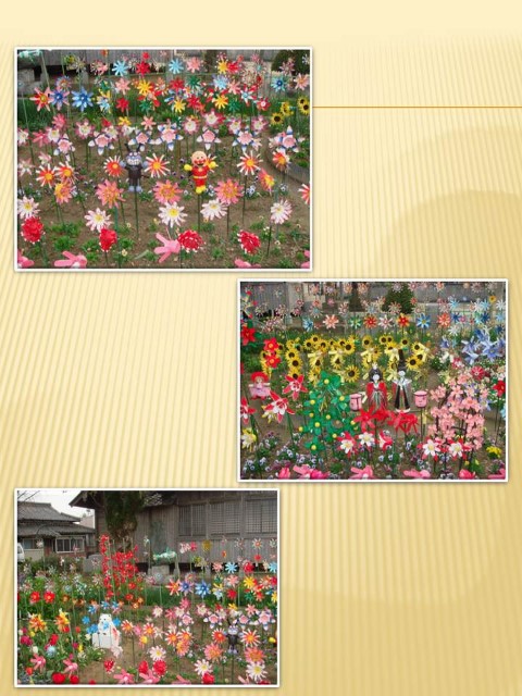 petbottleflower2 (480x640).jpg